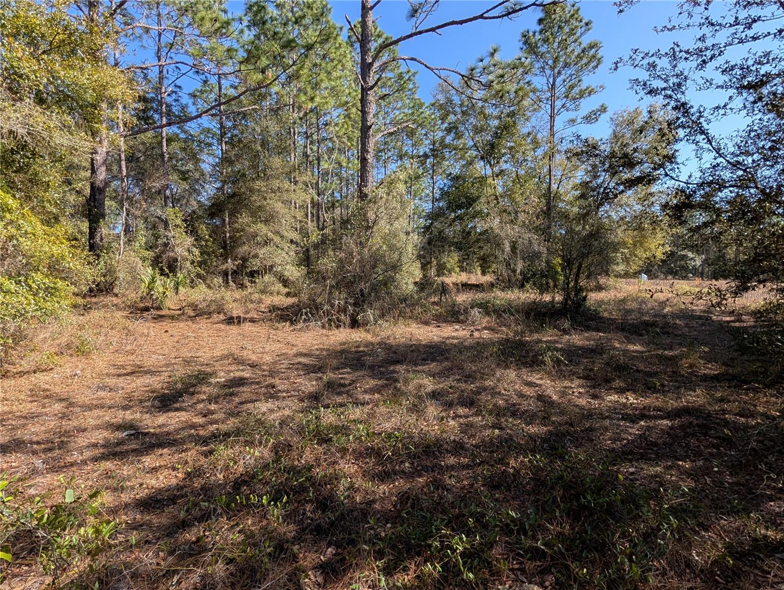 RAINBOW LAKES ESTATE - Land