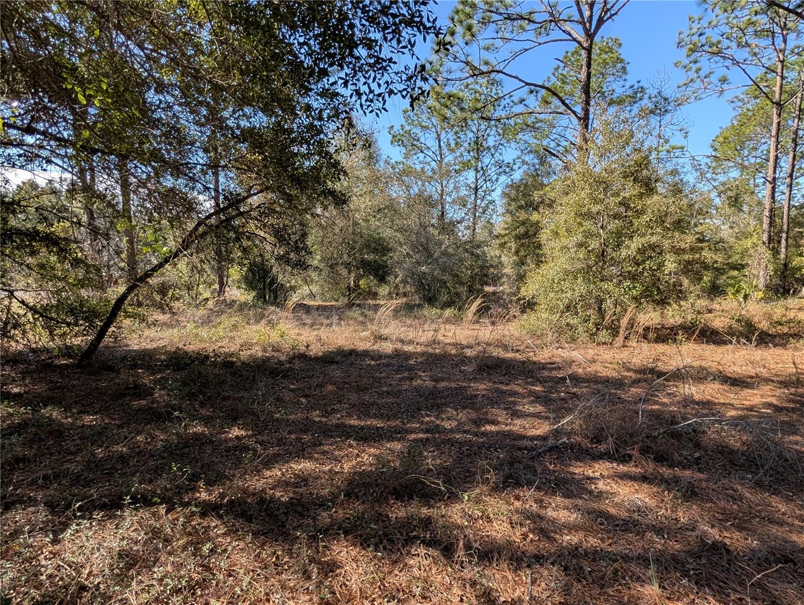 RAINBOW LAKES ESTATE - Land