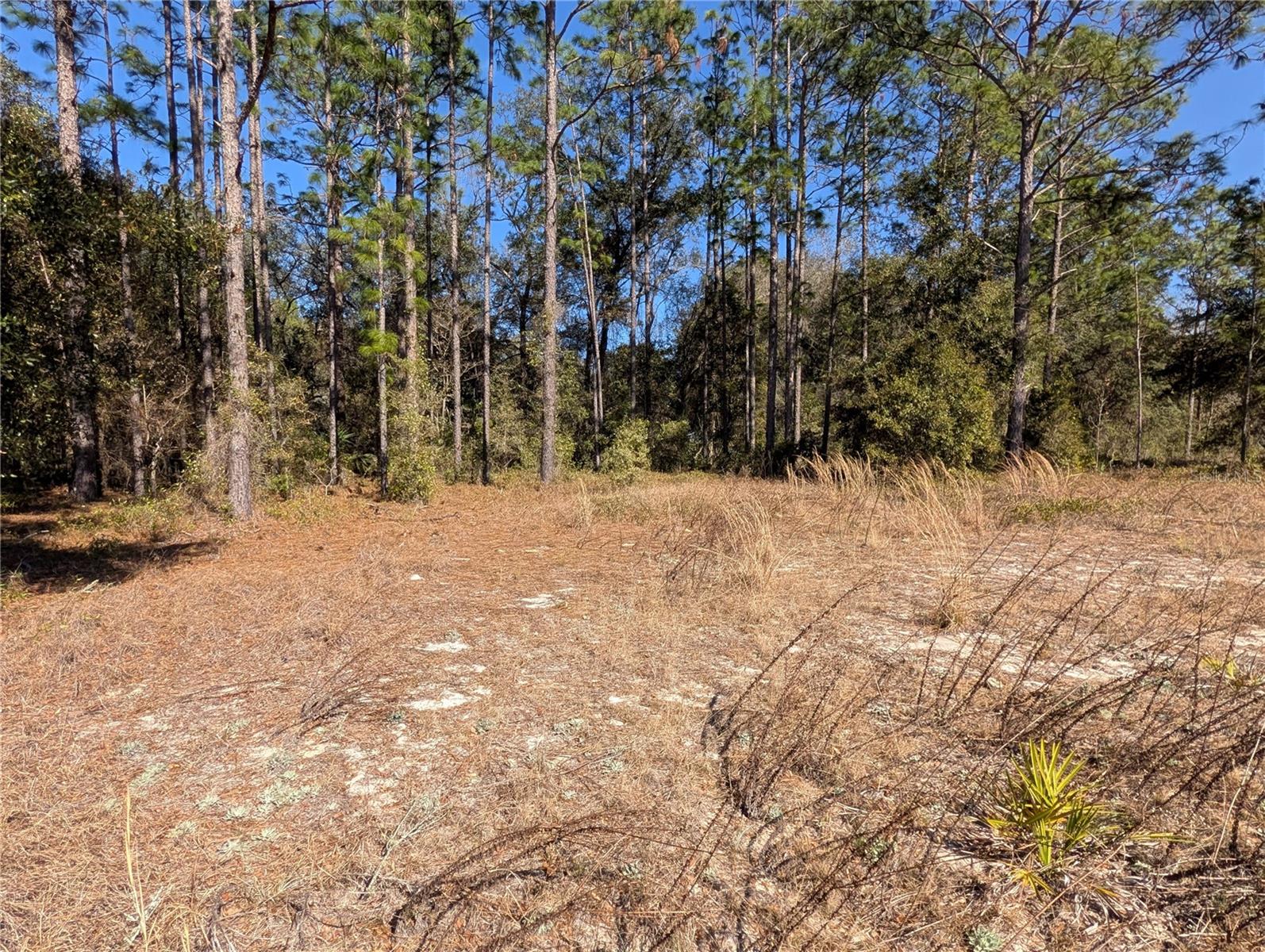 RAINBOW LAKES ESTATE - Land