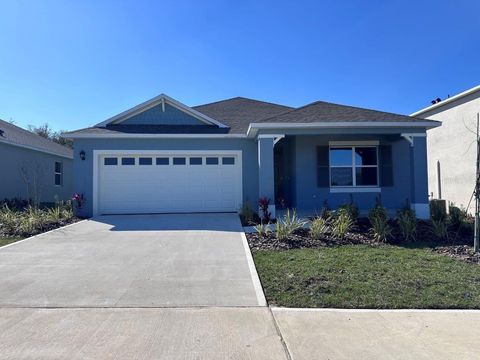 5297 GREENHEART AVENUE MOUNT DORA FL 32757