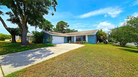 3907 ORCHARD HILL CIRCLE PALM HARBOR FL 34684