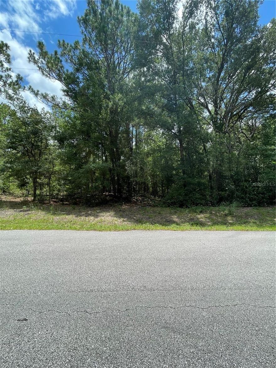 NICE SIZE LOT OF ALMOST 1 ACRE IN RAINBOW ACRES SUBDIVISION IN DUNNELLON, FL 34431. CLOSE TO MAIN ATTRACTIONS OF MARION COUNTY/OCALA: RAINBOW RIVER STATE PARK, THE WORLD EQUESTRIAN CENTER, ETC..