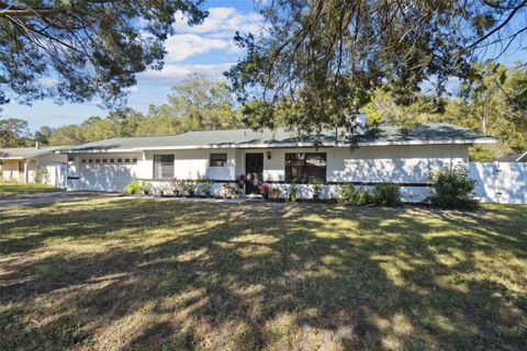 A home in HOMOSASSA