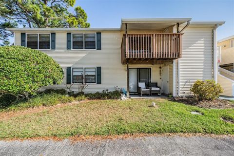 124 LOBLOLLY COURT H OLDSMAR FL 34677