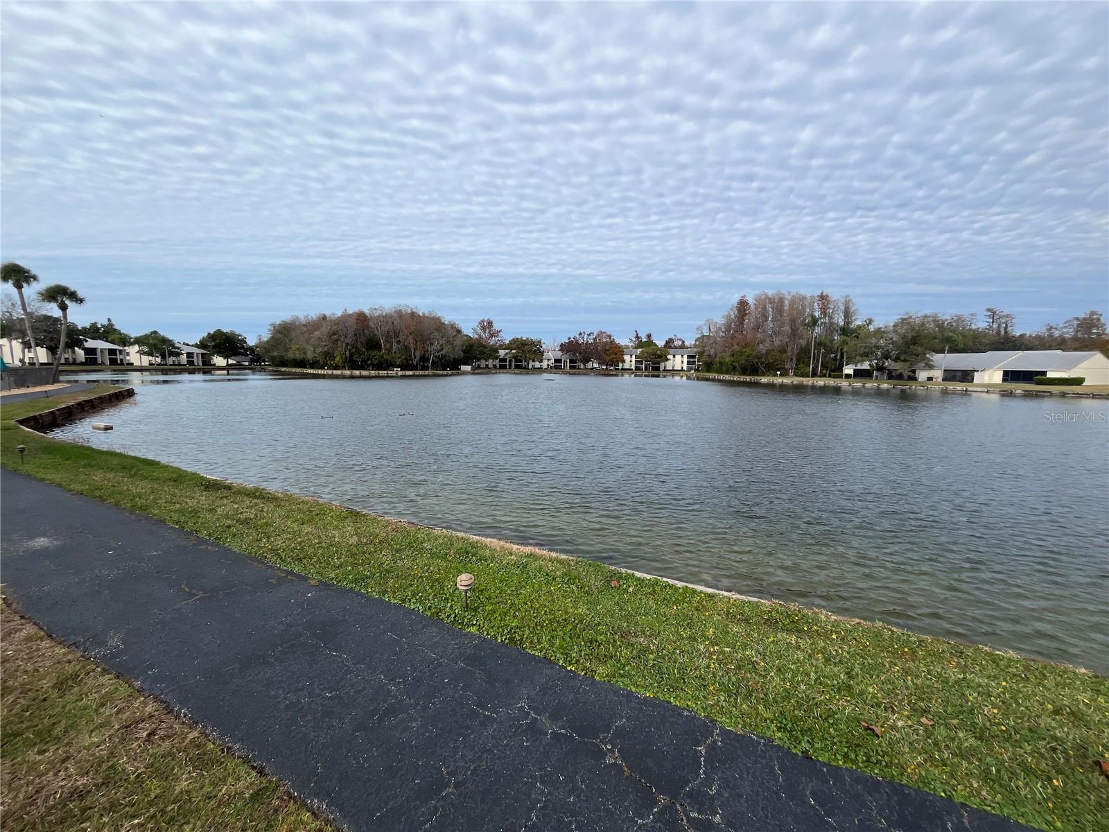 PINE RIDGE AT LAKE TARPON VILLAGE - Residential