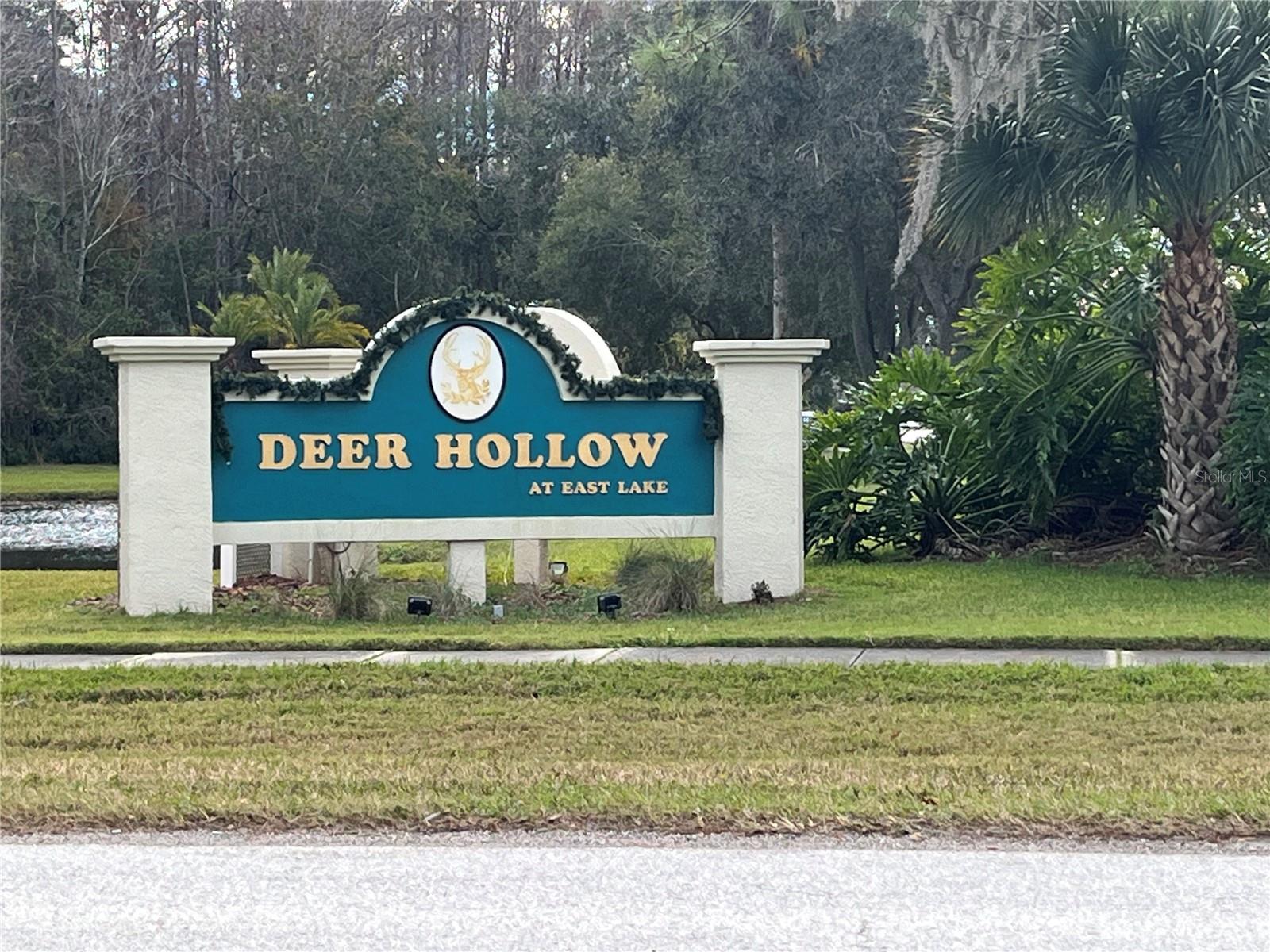 PINE RIDGE AT LAKE TARPON VILLAGE - Residential