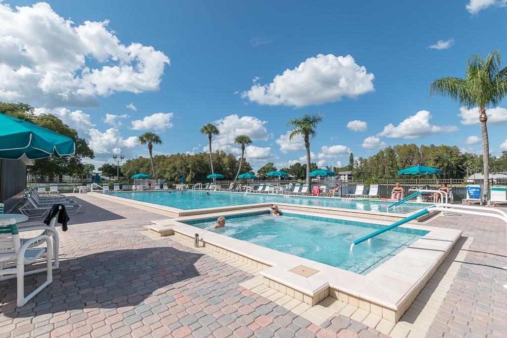 PINE RIDGE AT LAKE TARPON VILLAGE - Residential