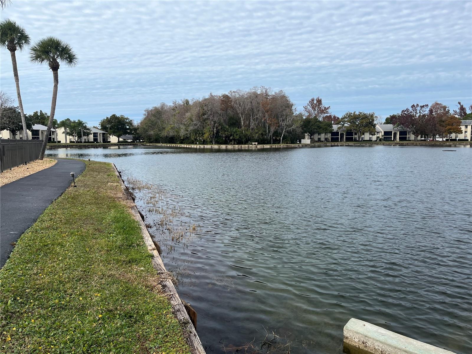 PINE RIDGE AT LAKE TARPON VILLAGE - Residential