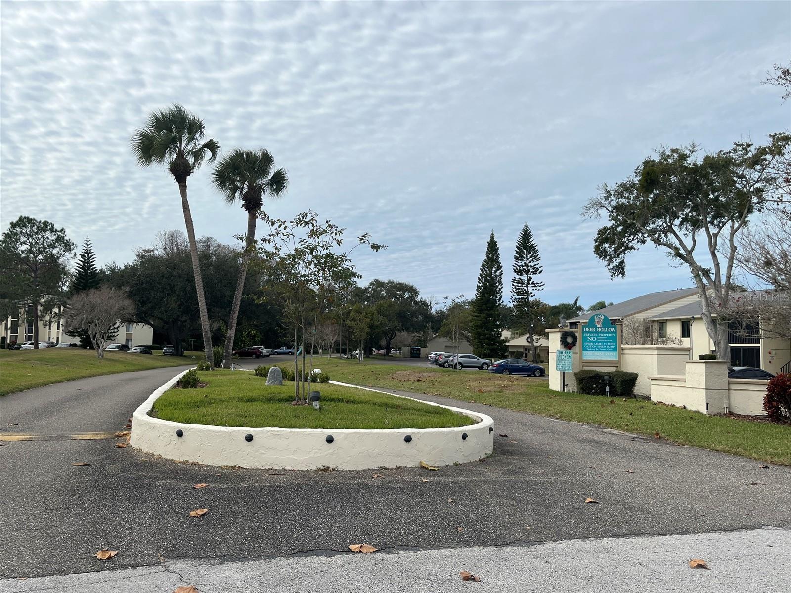 PINE RIDGE AT LAKE TARPON VILLAGE - Residential