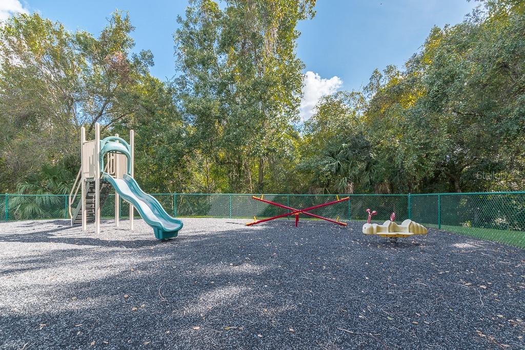 PINE RIDGE AT LAKE TARPON VILLAGE - Residential