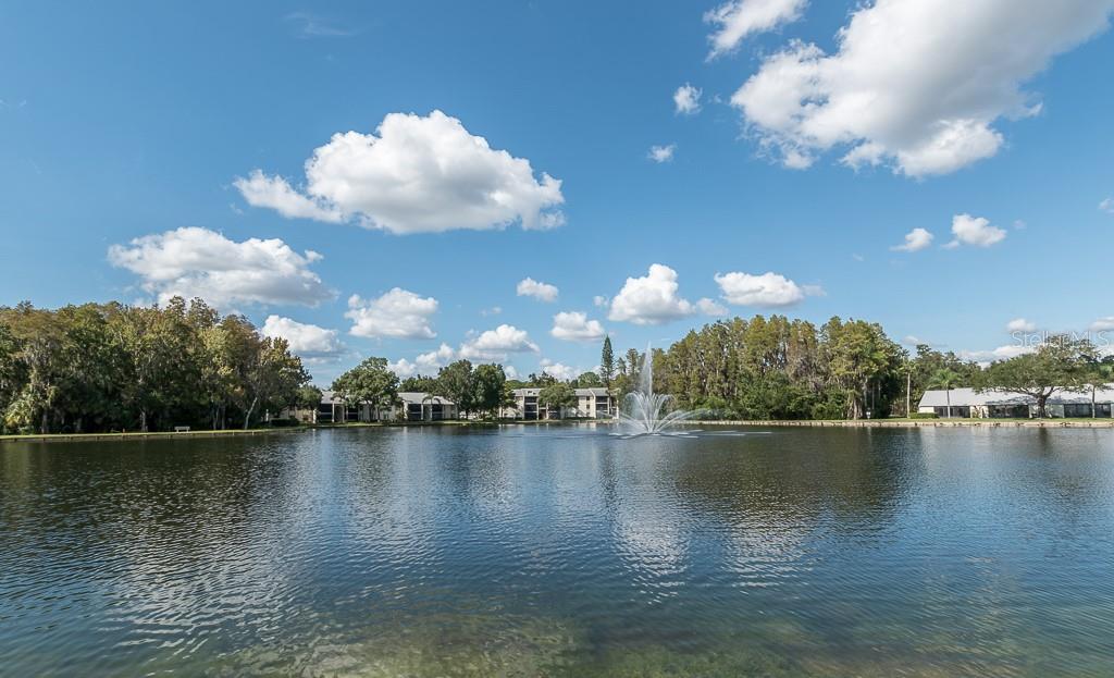 PINE RIDGE AT LAKE TARPON VILLAGE - Residential
