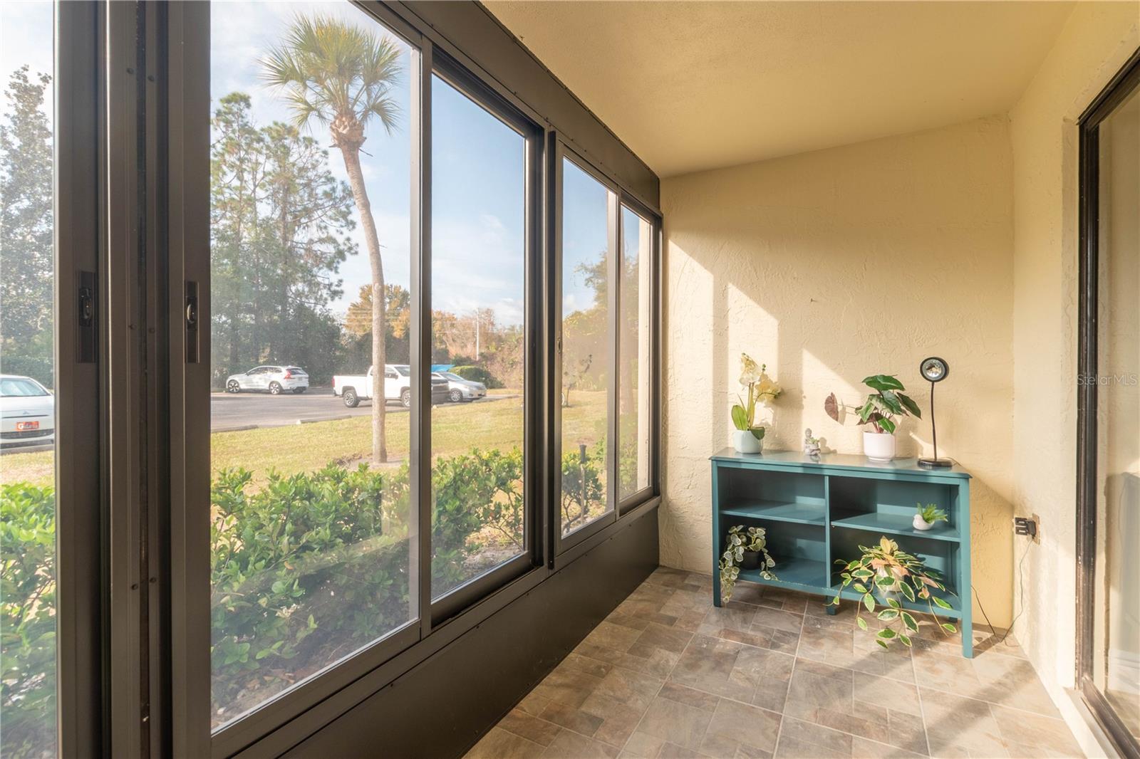 PINE RIDGE AT LAKE TARPON VILLAGE - Residential