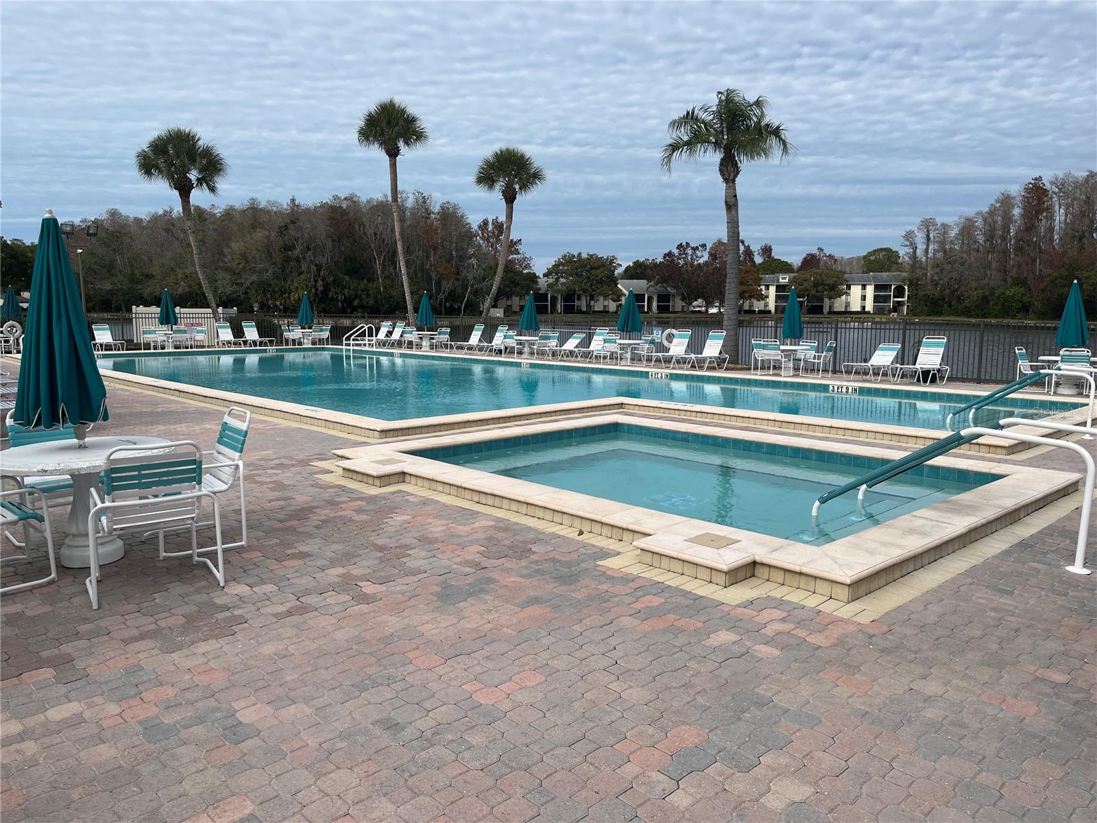 PINE RIDGE AT LAKE TARPON VILLAGE - Residential