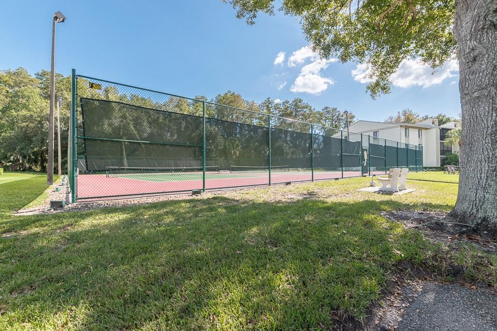 PINE RIDGE AT LAKE TARPON VILLAGE - Residential