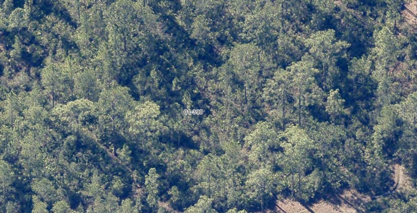 ORANGE CO ACRES UNREC - Land