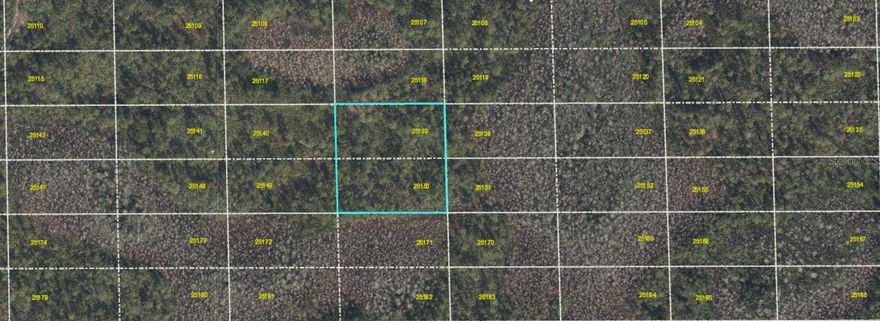 This spacious 2.52-acre parcel, as confirmed by county records, is offered at an exceptional price. The land is unimproved and zoned A-2, making it ideal for future development. An adjacent 2.52-acre parcel is also available at the same price and can be purchased separately or together.

No access road is currently in place, so please review the attached images for further details.

Don't miss this opportunity to invest in a sizeable tract with great potential. Submit your offer today!