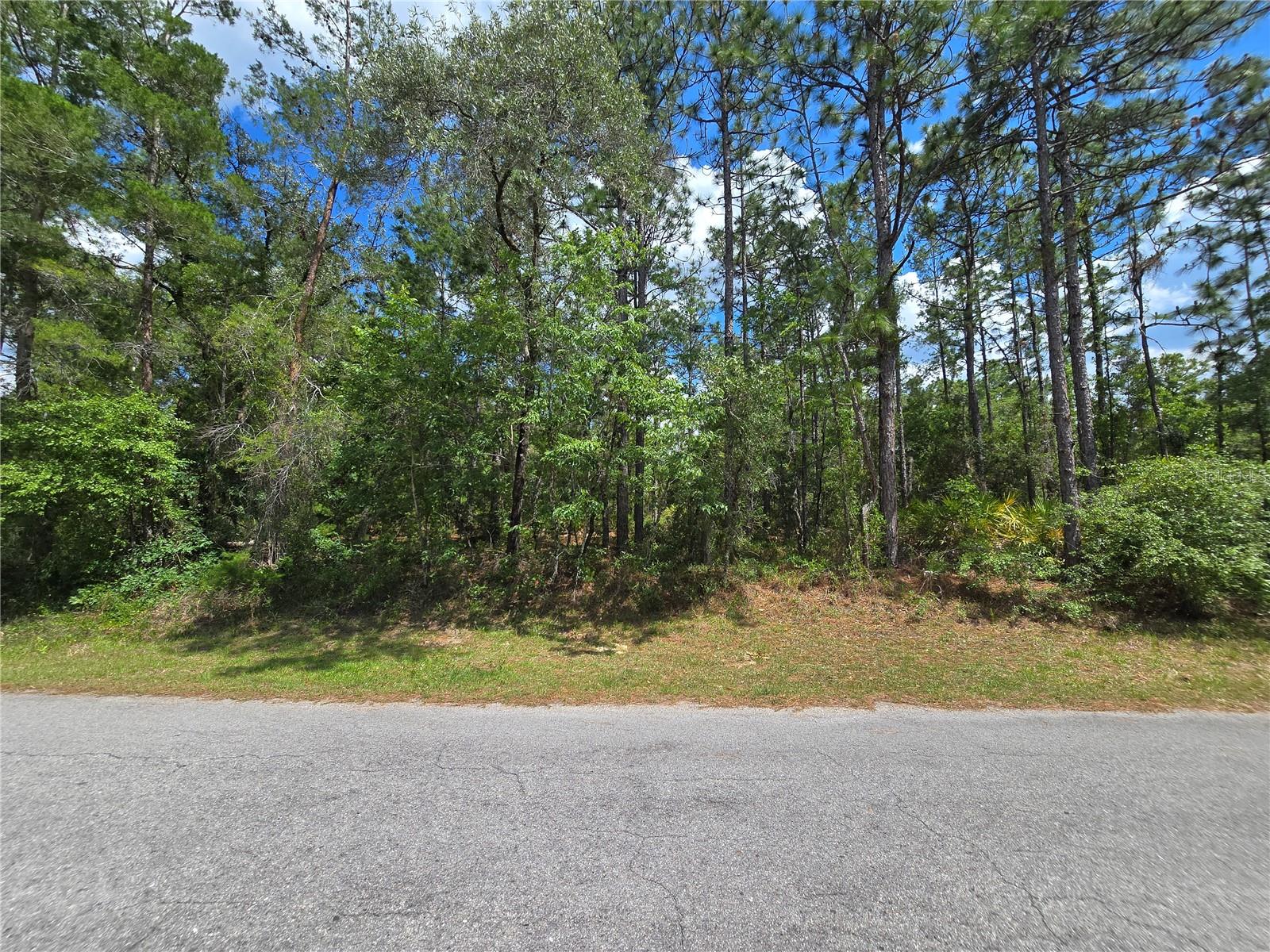 SUGARMILL WOODS OAK VILLAGE - Land