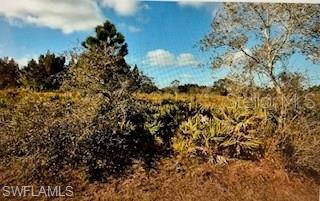 This parcel is located in the neighborhood of Warm Mineral Springs where new homes are being built all around. Excellent location, peaceful neighborhood, minutes from I-75 & Tamiami Trail! Convenient to Florida's best beaches, golfing, public boat ramps, marinas, shopping, the Historic Riverfront District, Downtown Punta Gorda & Fishermen's Village, and a short drive to Venice, Sarasota and Boca Grande, etc. NOT IN A FLOOD ZONE or HOA.