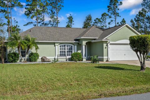 A home in PALM COAST