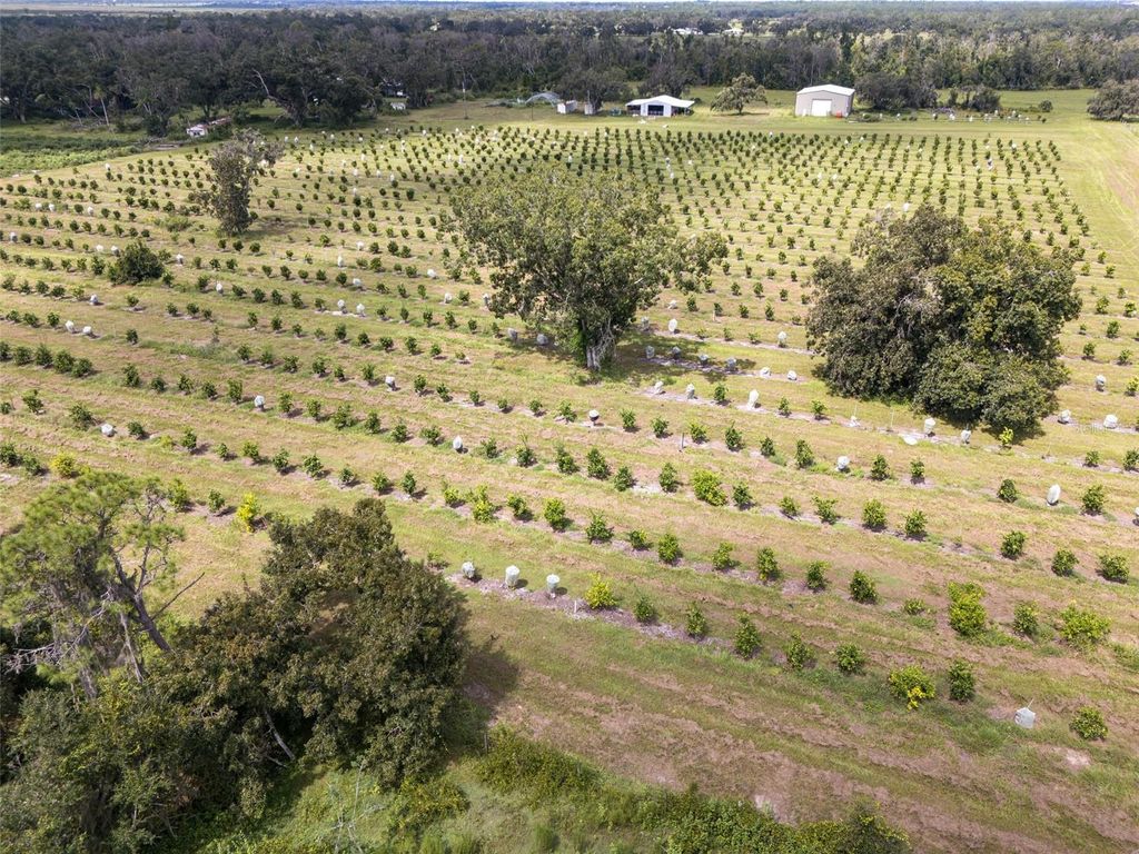 Photo of 32715 Singletary Road, Myakka City, FL 34251 (MLS # A4668501)