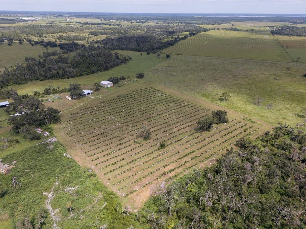 Photo of 32715 Singletary Road, Myakka City, FL 34251 (MLS # A4668501)