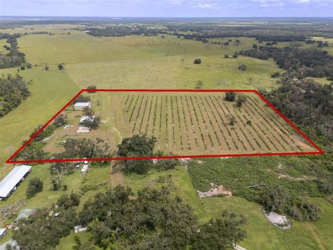 Photo of 32715 Singletary Road, Myakka City, FL 34251 (MLS # A4668501)
