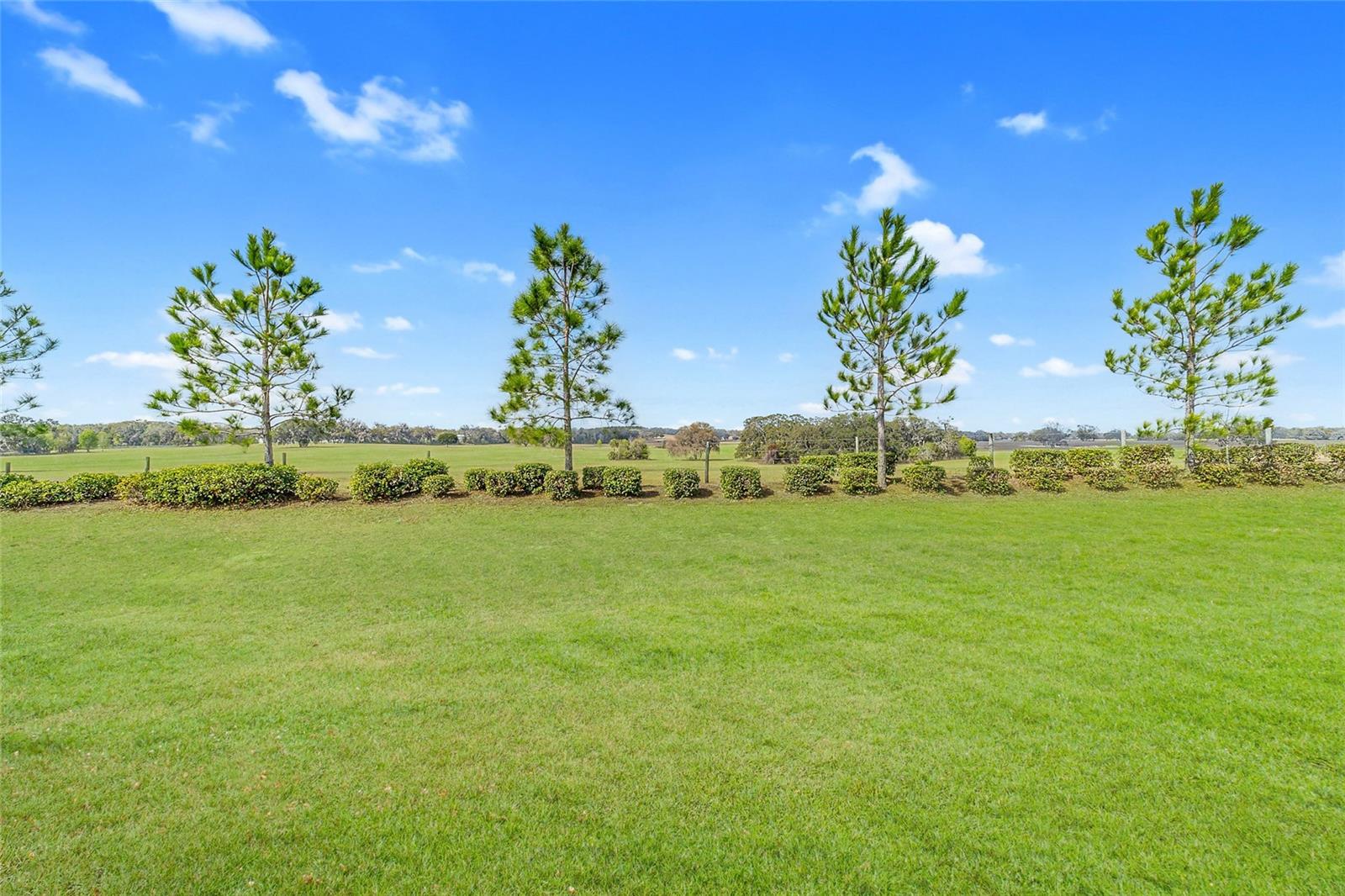 STONE CREEK - Residential