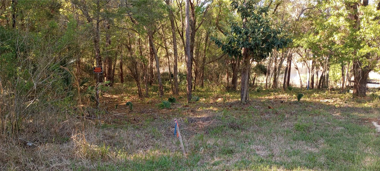 CARLTON VILLAGE PARK - Land