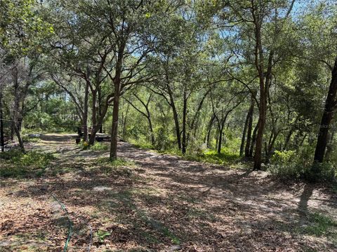 Tiny photo for 16137 SE 34th Place, Ocklawaha, FL 32179 (MLS # OM702143)