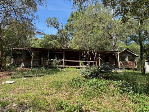 Photo of 16137 SE 34th Place, Ocklawaha, FL 32179 (MLS # OM702143)