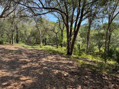 Tiny photo for 16137 SE 34th Place, Ocklawaha, FL 32179 (MLS # OM702143)