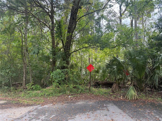 10103 W MAIN ST, HOMOSASSA, FL 34448 - Image a7232c38d78a0169e9f02f42857dcab9/2400774625