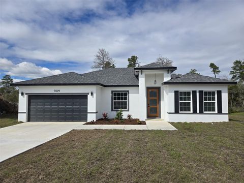 Photo of 3519 SW 131st Place Street, Ocala, FL 34473 (MLS # O6287763)