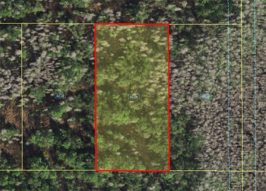 HOLOPAW GROVES ROAD