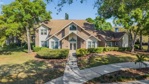 3223 HARVEST MOON DRIVE PALM HARBOR FL 34683