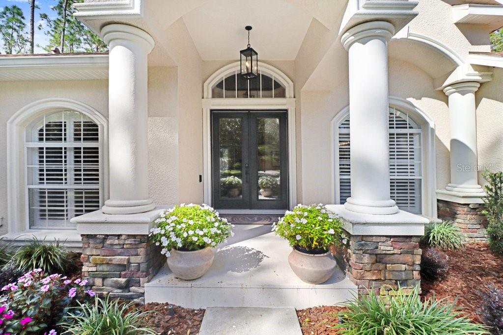 Photo of 428 Pine Bluff Drive, Lutz, FL 33549 (MLS # TB8554327)