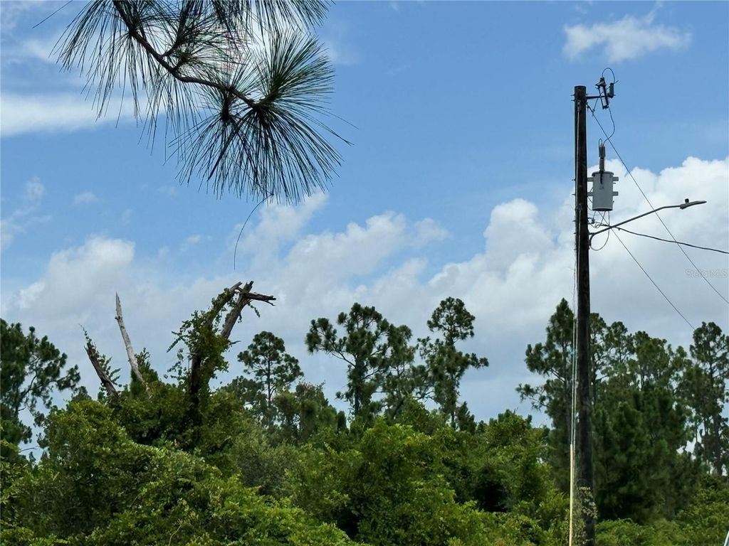 Photo of 728 Vespucci Avenue S, Lehigh Acres, FL 33974 (MLS # TB8403558)