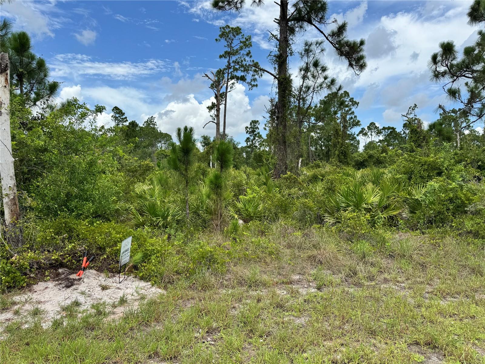 728 VESPUCCI AVENUE S