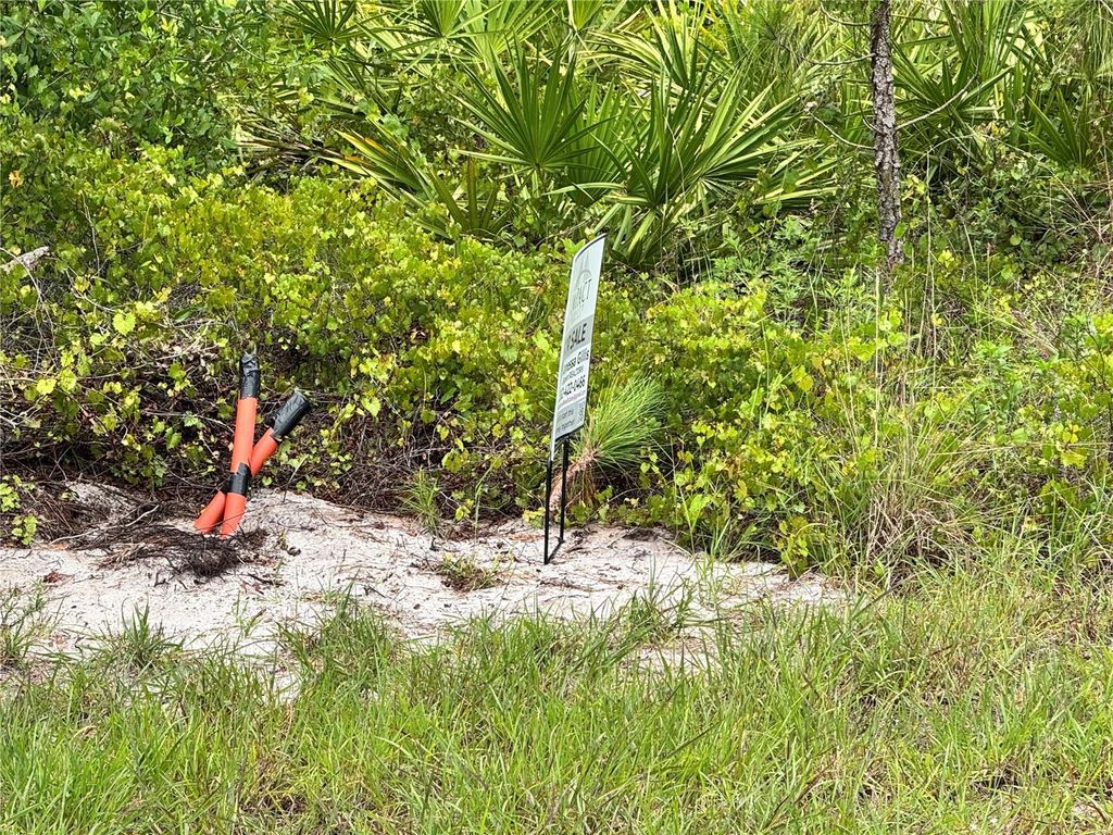 Photo of 728 Vespucci Avenue S, Lehigh Acres, FL 33974 (MLS # TB8403558)