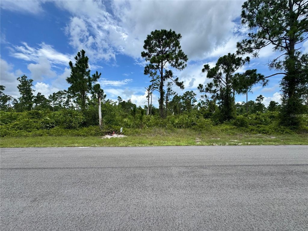 Photo of 728 Vespucci Avenue S, Lehigh Acres, FL 33974 (MLS # TB8403558)