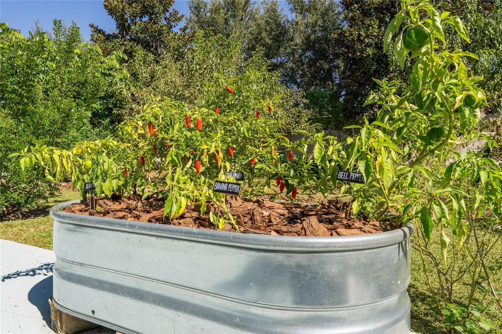 RESERVE/MINNEOLA PH 2A-2C - Residential