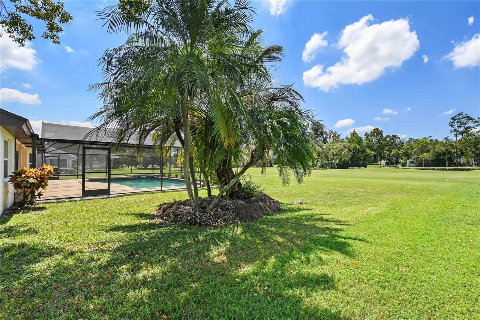 ORANGE TREE COUNTRY CLUBB - Residential