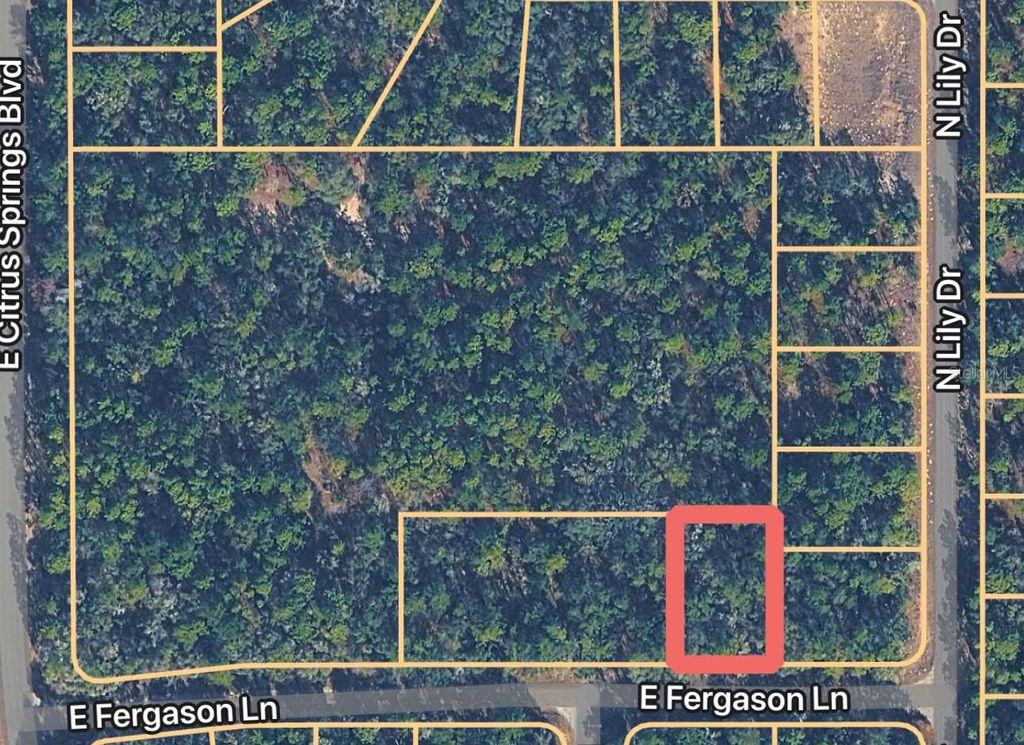 Photo of 1409 E Fergason Lane, Dunnellon, FL 34434 (MLS # OM716057)