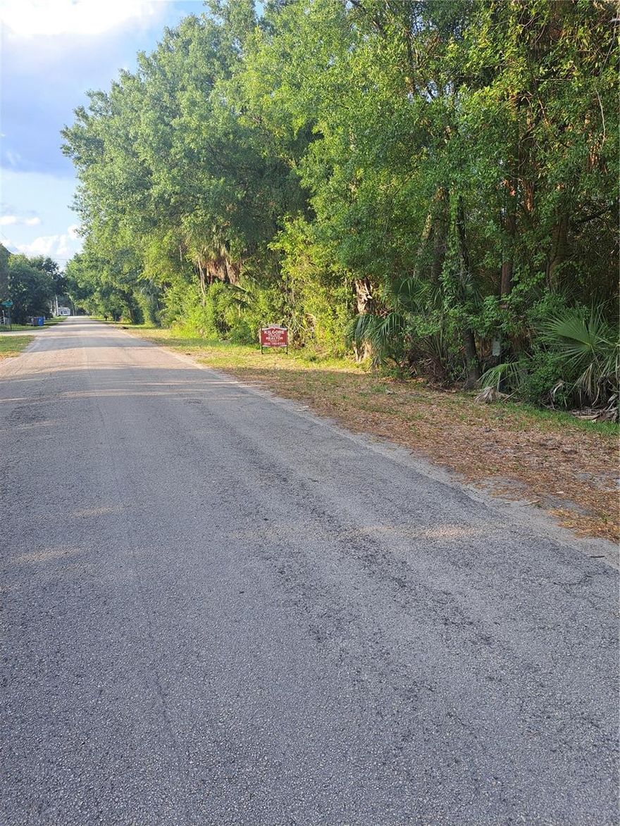 21.67 Acres / Ideal for Single Family/Development/ Builders , County Water at property and Sewer is not far away ,  
Great location in South Hillsborough County