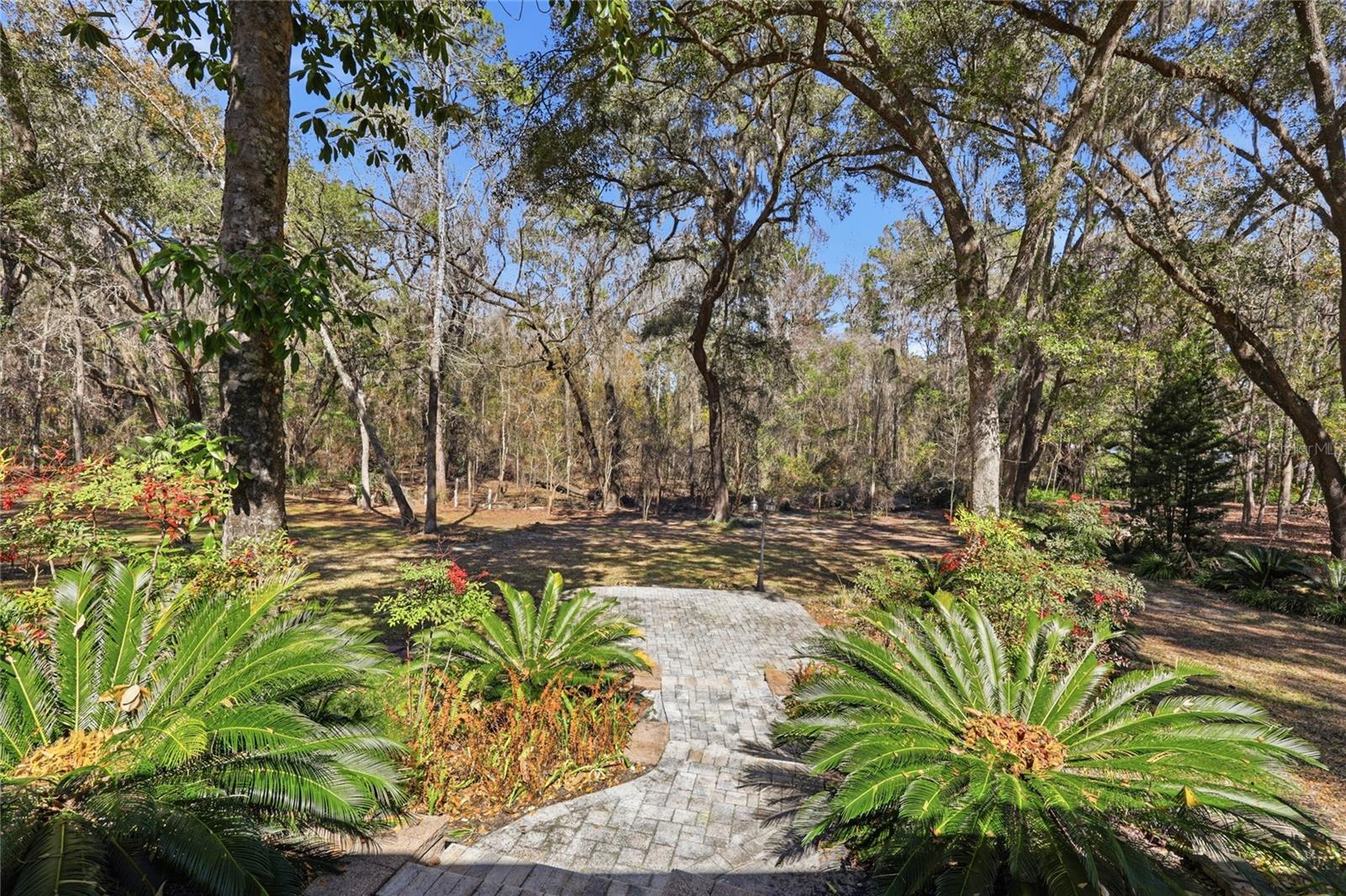 CAMBRIDGE FOREST PH V - Residential