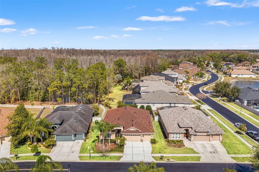 Photo of 3303 Stonegate Falls Drive, Land O Lakes, FL 34638 (MLS # W7883182)