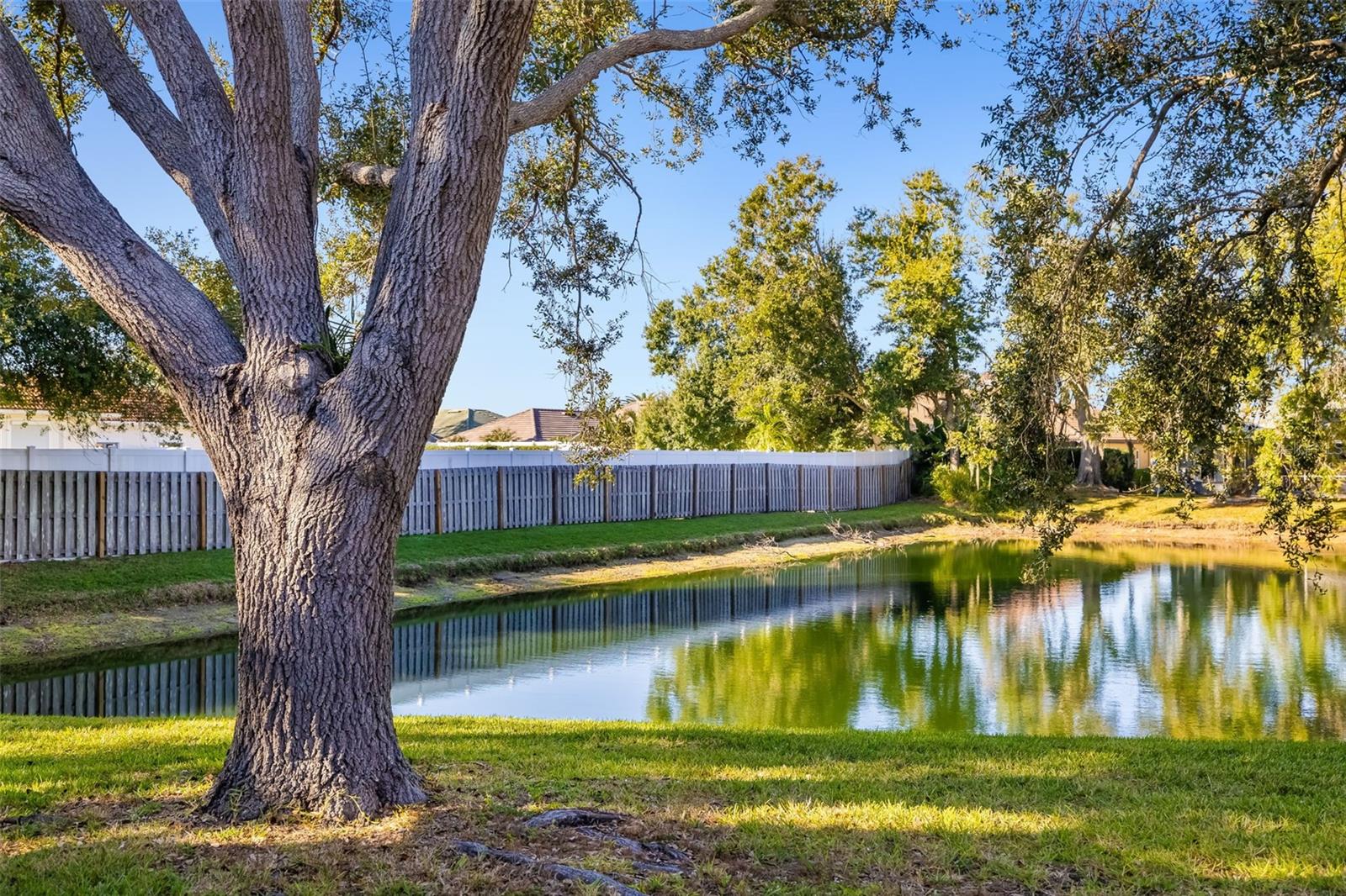 MAGNOLIA POND - Residential
