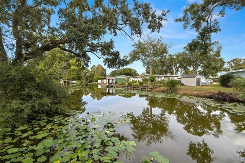 A home in TAMPA