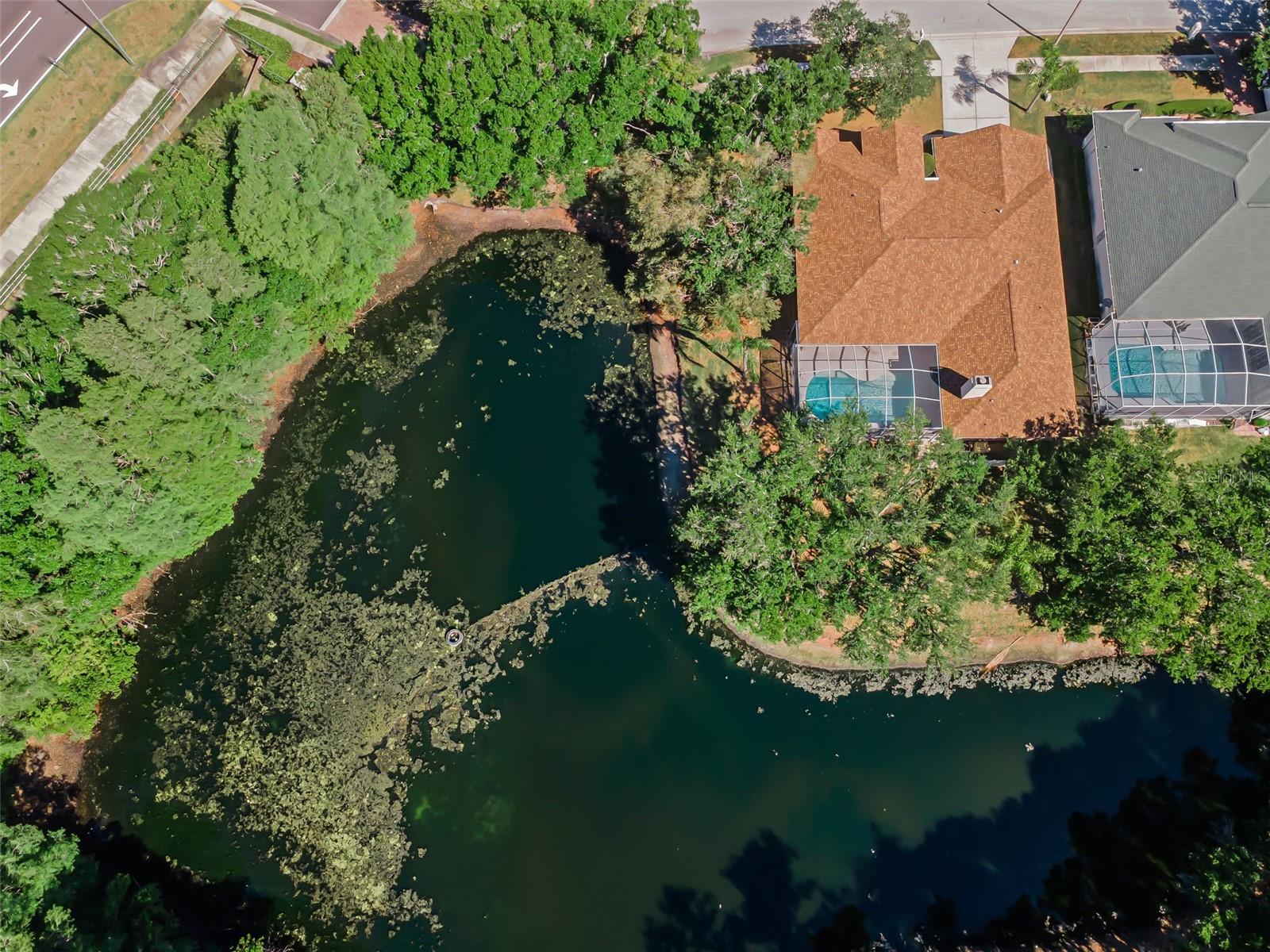 OLD HARBOR PLACE - Residential