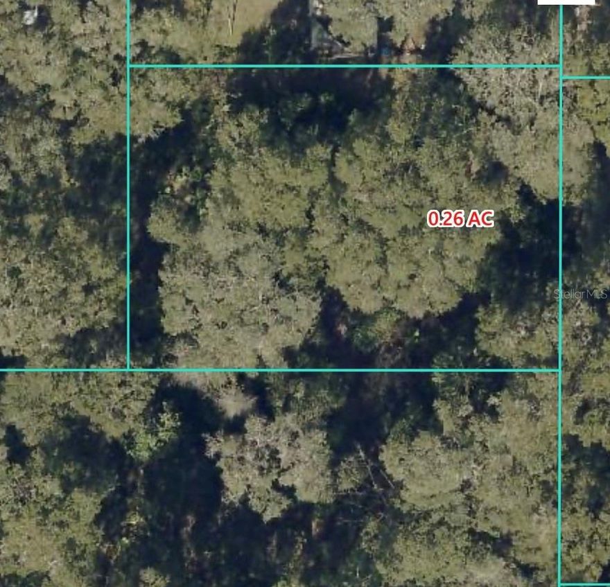 0.26 Acres in Belleview Heights
This 0.26 acre lot previously had mobile home, with power and septic potentially already in place (buyer to verify). The property is ready to be cleared and offers an excellent location for building your new home. Conveniently situated near shopping, dining, and major highways, this lot combines accessibility with great potential.